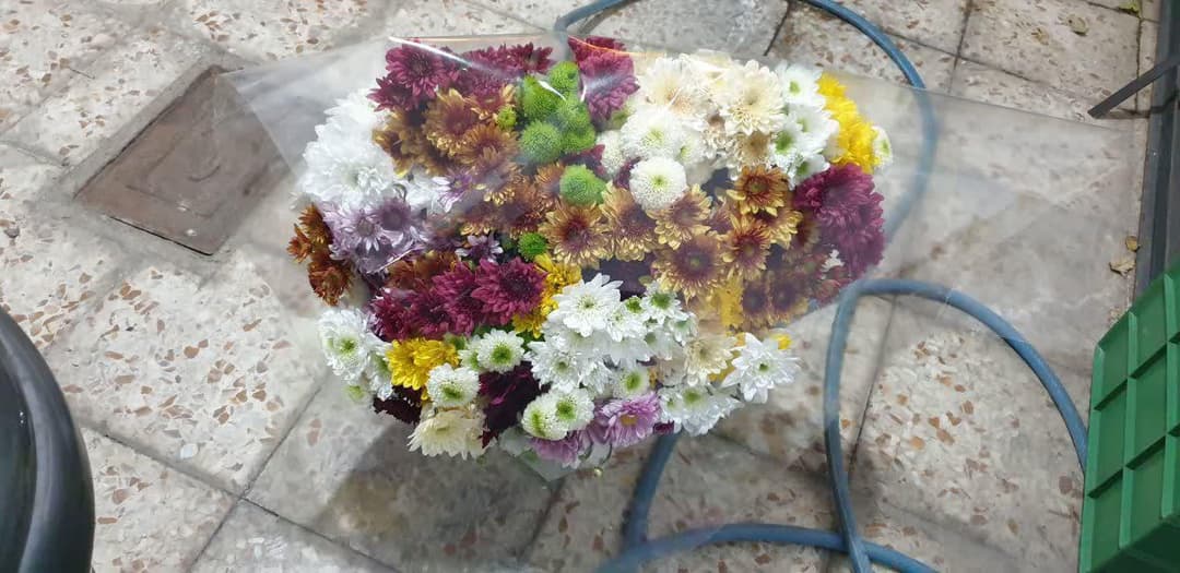 تصویر مقاله